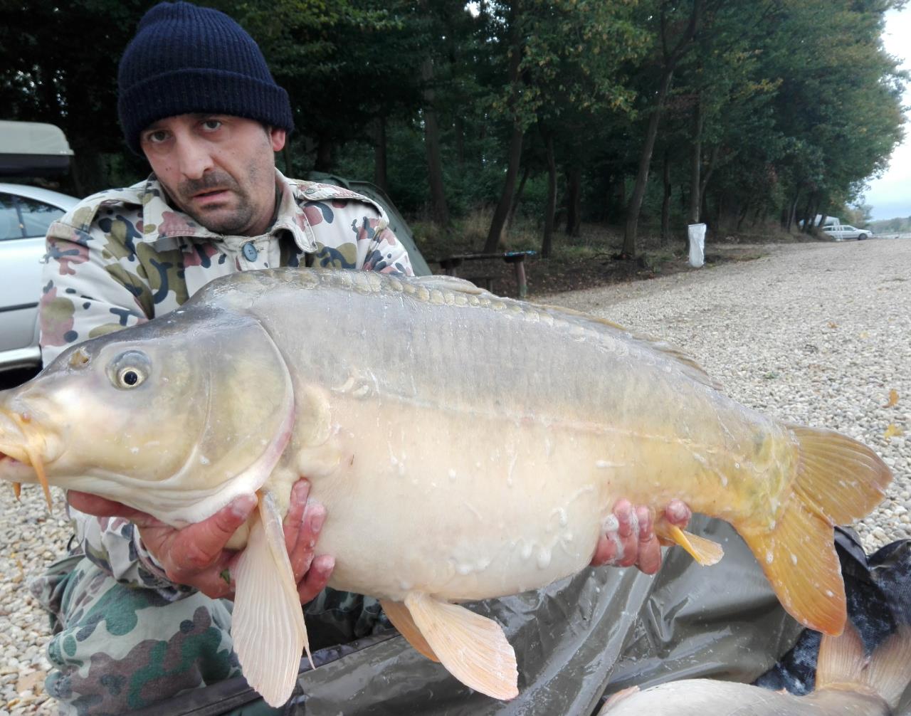 1-5 Octombrie Cetariu - img1475568732355.jpg